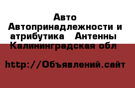 Авто Автопринадлежности и атрибутика - Антенны. Калининградская обл.